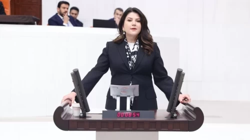 MHP’li Pelin Yılık: Güçlü aile güçlü devletin temelidir