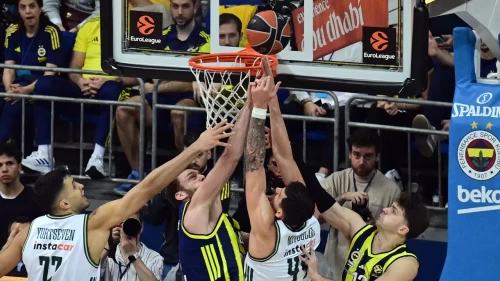 Fenerbahçe, EuroLeague'de Panathinaikos'a takıldı