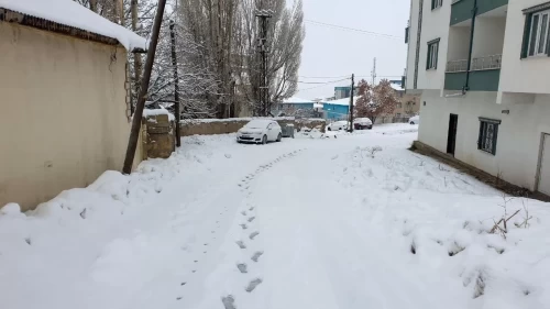 Van’da kar etkisini artırdı! Başkale’de yüksekler 50 santimi gördü