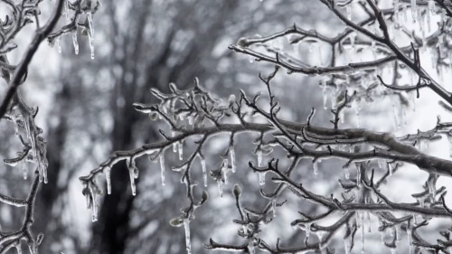 Meteoroloji uyardı: İstanbul’dan Doğu Anadolu’ya şiddetli yağış geliyor!