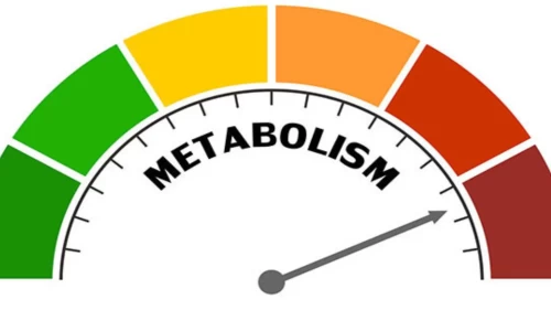 Hızlı kilo verirken metabolizmanızı nasıl yıpratıyorsunuz?
