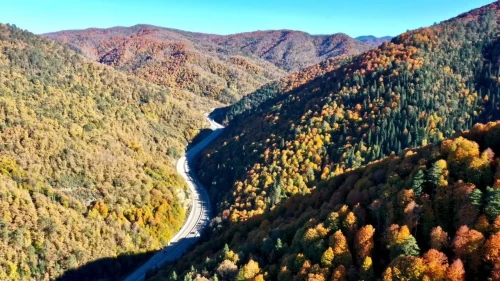 Yeşil alanlar genişliyor: Türkiye orman artışında Avrupa lideri