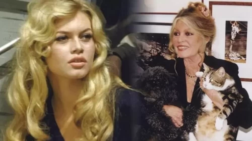 Ünlü oyuncu Brigitte Bardot hayata veda etti