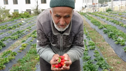 İbrahim dededen acı haber! Türkiye onu yoldan geçenlere bahçesinden ikram ettiği meyvelerle tanıdı