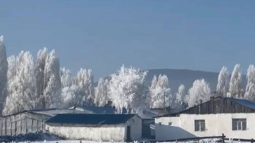Ardahan'ın Göle ilçesi, eksi 20'yi gördü; ağaçlar kırağı tuttu