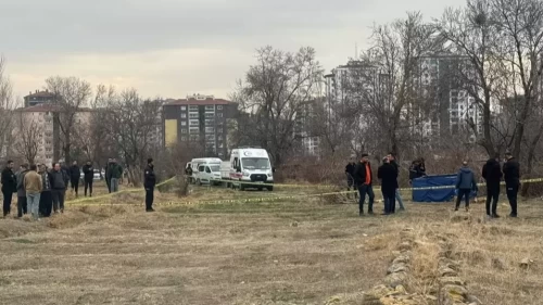 Niğde'de kan donduran olay