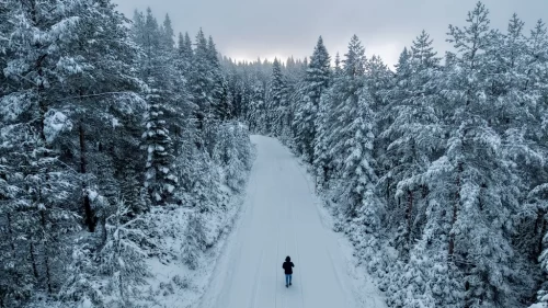 Kastamonu'nun yüksek kesimleri beyaza büründü