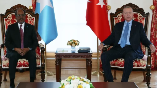 Cumhurbaşkanı Erdoğan, Somali Cumhurbaşkanı Mahmud ile bir araya geldi