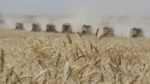 Güneydoğu’dan hububat atağı! 11 ayda 3,2 milyar dolarlık ihracat