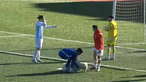 Uyuyan köpek maçın yıldızı oldu