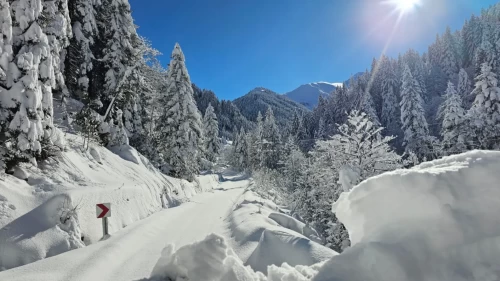 Kaçkarlar beyaza büründü! Yaylalarda kartpostallık görüntüler