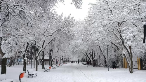 Beklenen karar çıktı! Bartın’da kamu çalışanlarına idari izin
