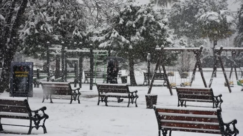 Muğla'da tarım üreticilerine don alarmı: Gece yarısından itibaren başlıyor