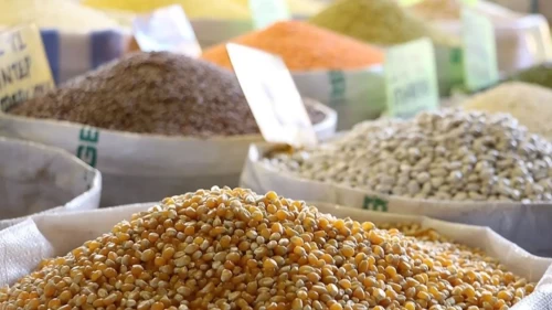 Hububat ve bakliyat ihracatı arttı: 179 ülkeye satış