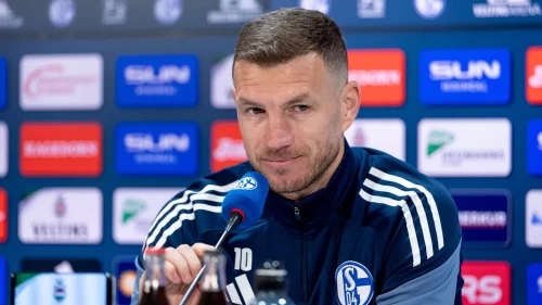 Edin Džeko, Fiorentina’dan Schalke 04’e transfer oldu