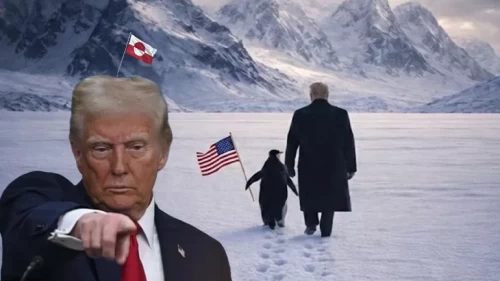 Trump'ın Grönland ısrarı biyolojiyi yendi: Kuzey Yarımküre'ye zorla penguen getirdi