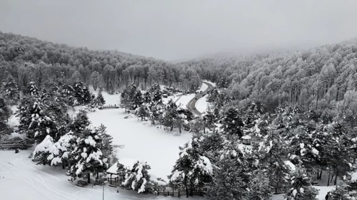 Domaniç Dağı beyaza büründü! Yayla ve tabiat parklarına ziyaretçi akını