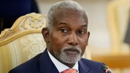 Davos'ta Nijerya'dan yatırımcıya güven mesajı: Güvenlik riskleri abartılıyor