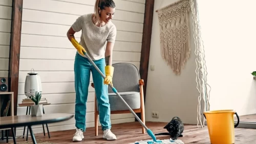 Elma sirkesi mi beyaz sirke mi?