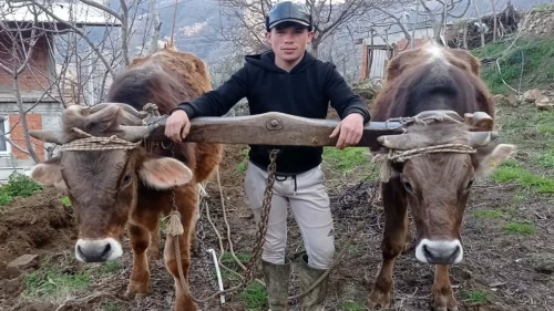 Aydın'da tartıştığı kuzenini av tüfeğiyle katletti!