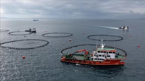 Karadeniz’den 36 ülkeye su ürünleri ihracatı 400 milyon doları aştı