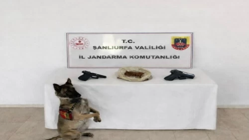 Şanlıurfa'da yasaklı madde operasyonu! Sentetik madde ve silah ele geçirildi