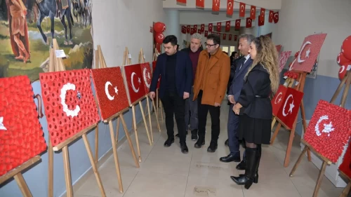 Türkeli'de 'Bayrak Sevgisi' temalı resim sergisi açıldı
