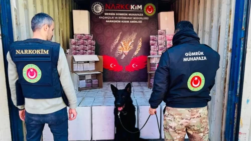 Zehir tacirlerine 3 ilde ağır darbe: Fırça içine sakladılar yine de yakalandılar! 4 milyar 617 milyon TL'lik yasaklı madde ele geçirildi