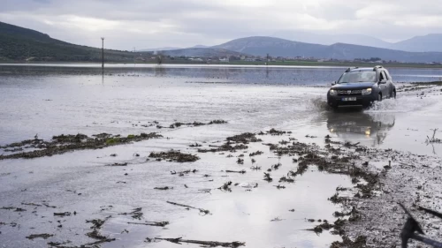 Tarlalar sular altında kaldı, çiftçi bayram etti!