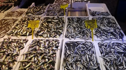Hamsi 150 TL'den tezgahlarda: Vatandaş akın ediyor