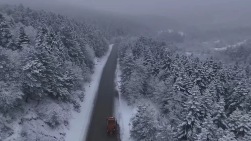 Pülümür Vadisi’nde yiyecek arayan kurt kamerada