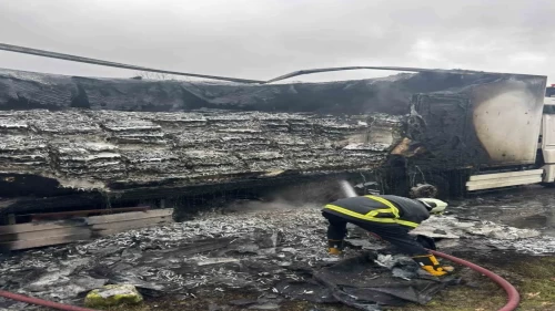 Hamsi yüklü tır alev alev yandı! Olay yerine ekipler sevk edildi