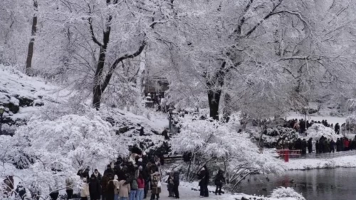 New York’ta dondurucu soğuk kabusu: 18 kişi hayatını kaybetti! Sıcaklık 13 gün boyunca sıfırın üstüne çıkmadı