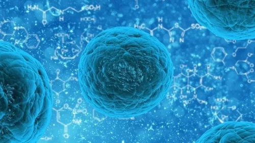 DSÖ’den umut verici rapor: Kanser vakalarının 4’te 1’ini önlemek mümkün!