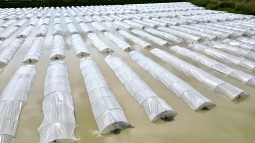 Mersin'de sağanak felaketi