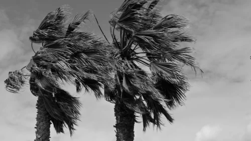 Fırtına ve kuvvetli sağanak kapıda!