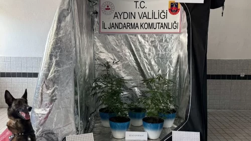 Aydın'da evine kurduğu düzenekle yasaklı madde yetiştiriyordu