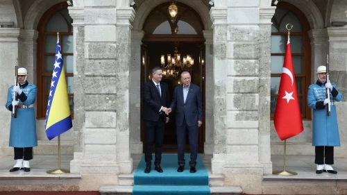 Cumhurbaşkanı Erdoğan, Denis Beçiroviç ile İstanbul’da bir araya geldi