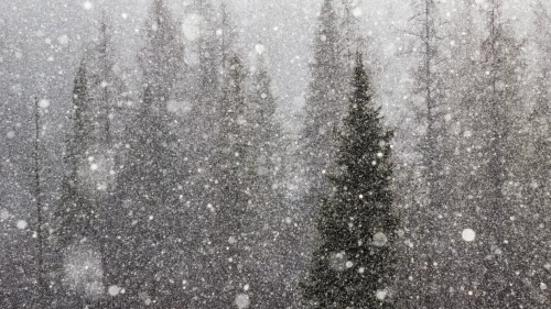 Hangi bölgede yağmur, nerede kar var? İşte il il hava durumu