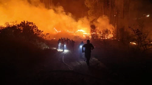 Alanya’da orman yangını paniği: Alevler kısa sürede kontrol altına alındı