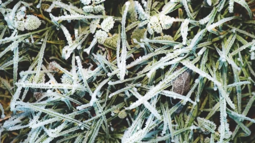 Marmara’da sis, Doğu Anadolu’da don ve çığ tehlikesi