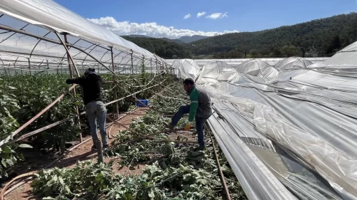 Antalya'da hortum seralara zarar verdi