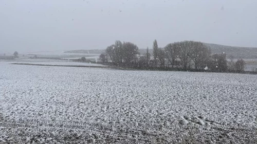 Bazı illerde kar etkili oldu