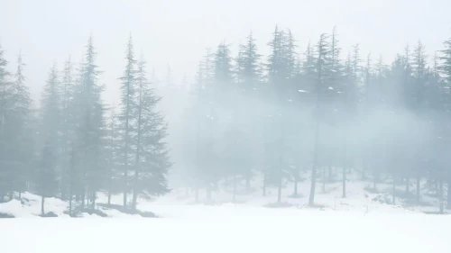 Doğu’da dondurucu soğuk, batıda bahar güneşi