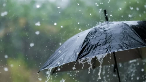 Şubat ayı rekor kırdı! İzmir, Balıkesir, Manisa, Afyonkarahisar, Antalya...En çok yağmur o ilimize yağdı