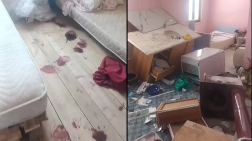 Trabzon'da kış uykusundan erken uyanan ayı, yayla evini savaş alanına çevirdi!