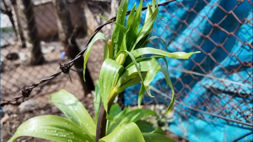Koparmanın cezası 700 bin liraya yükseldi