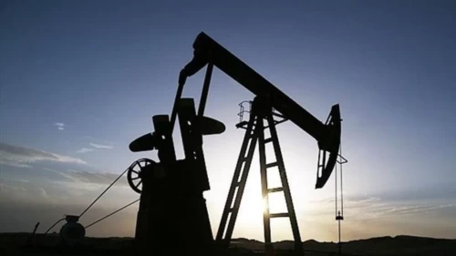 19 Mart’a kadar ihracat yasaklandı!