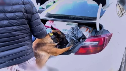 Zehir tacirlerine 73 ilde darbe: 475 kişi tutuklandı