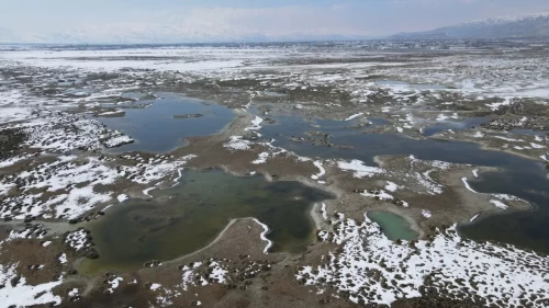 Ekşisu Kuş Cenneti’nde doğa drone ile kaydedildi